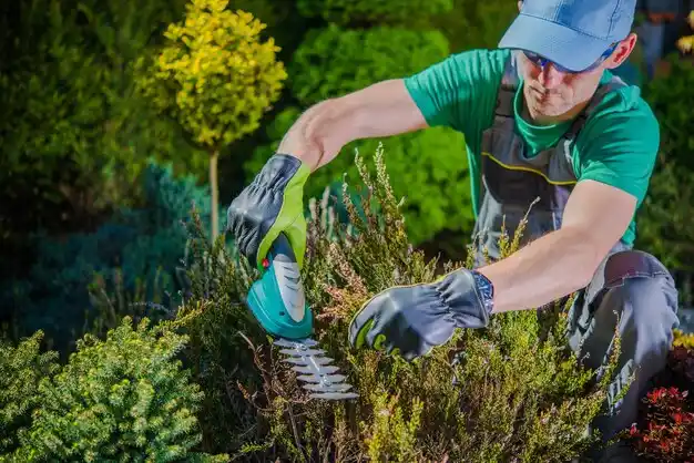 landscaping services Blue Point